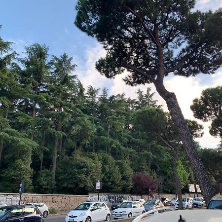 Roma Amor 396 المظهر الخارجي الصورة